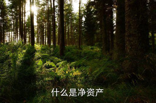 什么凈資產(chǎn)稅，什么是凈資產(chǎn)