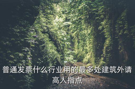 普通發(fā)票什么行業(yè)用的最多處建筑外請高人指點