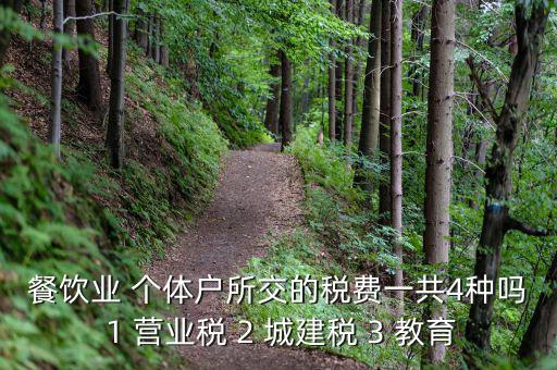 個體餐飲業(yè)交什么稅，餐飲業(yè) 個體戶所交的稅費一共4種嗎 1 營業(yè)稅 2 城建稅 3 教育
