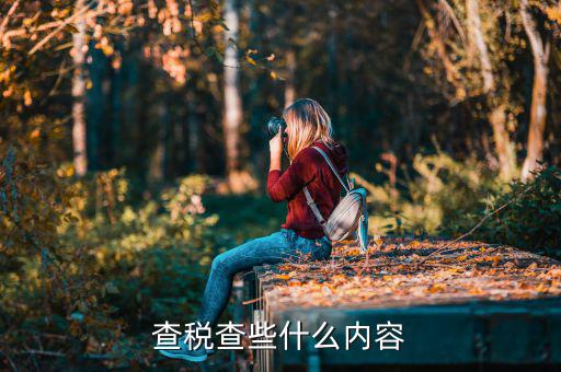 查稅查些什么內容