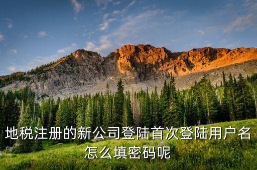地稅登錄名密碼是什么，地稅申報(bào)的用戶名和密碼是什么