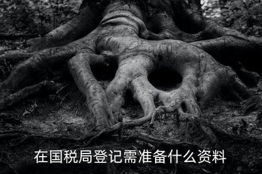 稅務(wù)登記備什么，在國(guó)稅局登記需準(zhǔn)備什么資料