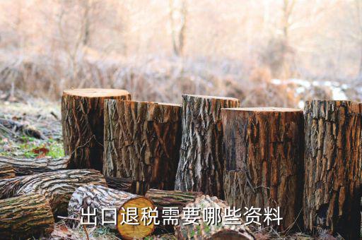 外貿(mào)退稅需要什么資料，出口退稅需要哪些資料