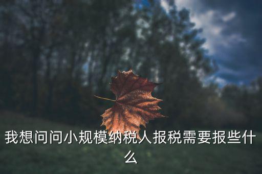 小規(guī)模國稅申報些什么，小規(guī)模納稅人國稅需要報什么資料