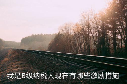 稅務(wù)信用等級(jí)b有什么用，企業(yè)納稅信用等級(jí)有何用處