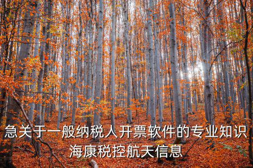急關(guān)于一般納稅人開票軟件的專業(yè)知識(shí)?？刀惪睾教煨畔? class=