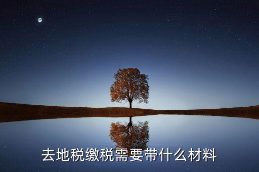 地稅局定稅要拿什么，去地稅局報(bào)稅需要拿什么東西