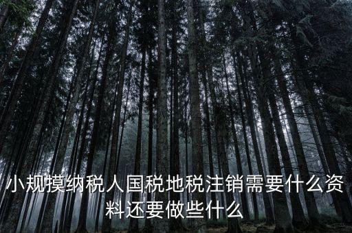 國(guó)地稅注銷需要什么，小規(guī)摸納稅人國(guó)稅地稅注銷需要什么資料還要做些什么