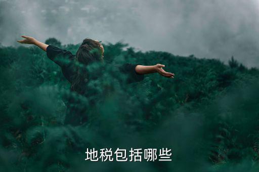 地方稅包括什么稅，地稅包括哪些