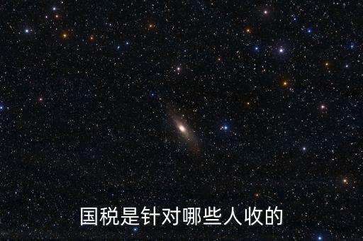 國稅都有什么人才庫，國稅有哪幾種