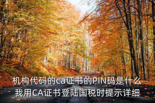 國稅ca證書登錄 密碼是什么，國稅第一次網(wǎng)上申報的登陸密碼是什么