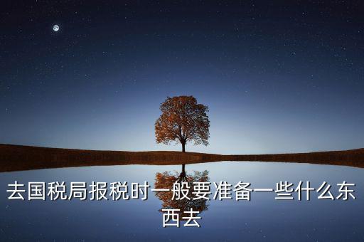 去國(guó)稅局都是帶什么東西，去國(guó)稅定稅要帶哪些東西啊我暈倒了以前從來沒定過