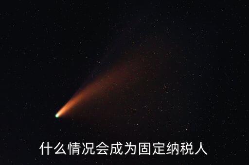 什么是固定納稅人，什么是定額納稅人