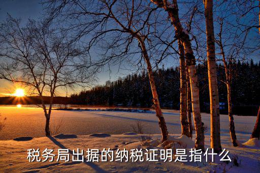 什么是稅收證明，什么是個(gè)人納稅證明