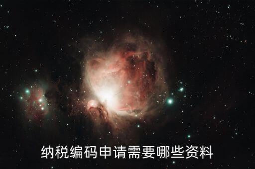 預(yù)約繳稅號(hào)需提供什么資料，納稅編碼申請(qǐng)需要哪些資料