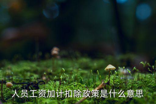 加計扣除有什么條件，人員工資加計扣除政策是什么意思