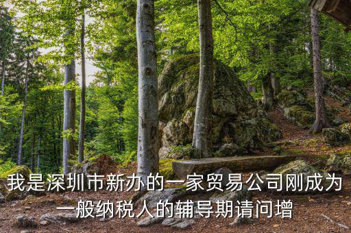 我是深圳市新辦的一家貿易公司剛成為一般納稅人的輔導期請問增