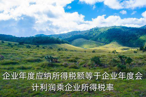 應納稅所得額等于什么，什么是應納稅所得額