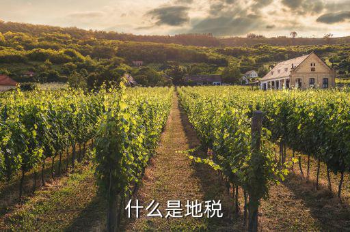 地稅和什么有關(guān)，什么是地稅
