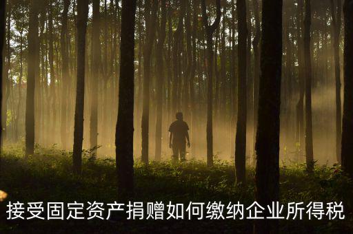 接受固定資產(chǎn)捐贈(zèng)要交什么稅，贈(zèng)送固定資產(chǎn)要繳納營(yíng)業(yè)稅嗎