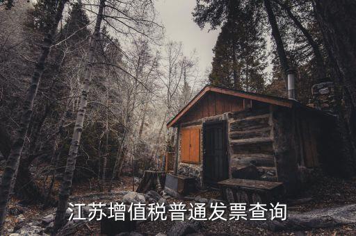 江蘇國稅網站運行的環(huán)境是什么，江蘇國稅徐州網站怎么上不去
