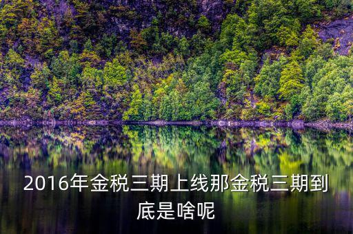 金三稅是指什么，金稅三期是什么意思