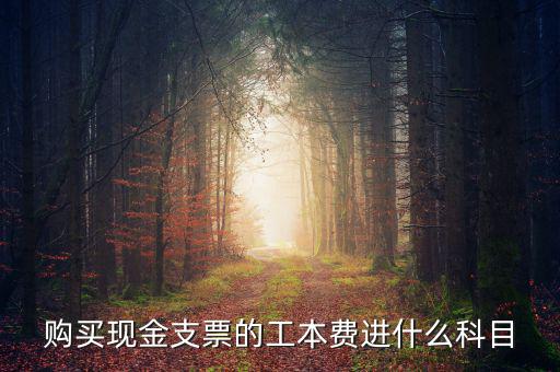 發(fā)票工本費什么科，買支票的工本費和手續(xù)費分別進什么科目