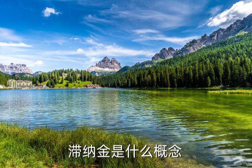 稅務(wù)局的滯納金是什么意思，稅收滯納金還有什么什么滯納金是什么意思