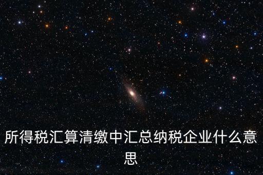 什么匯總納稅企業(yè)所得稅，關于企業(yè)所得稅匯總繳納