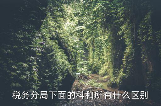 稅局計(jì)統(tǒng)科是什么意思，稅務(wù)分局下面的科和所有什么區(qū)別