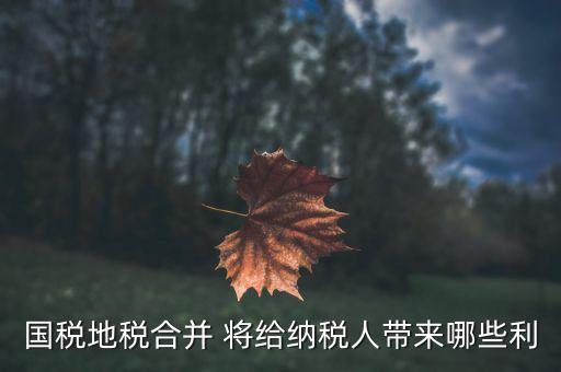 國地稅合作給地方帶來什么，國地稅合并后將帶來哪些變化對于財(cái)務(wù)工作人員有哪些便利  搜