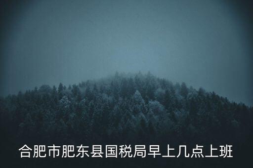 安徽國稅什么時候上班時間，國稅局的上班時間
