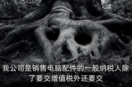 我公司是銷(xiāo)售電腦配件的一般納稅人除了要交增值稅外還要交