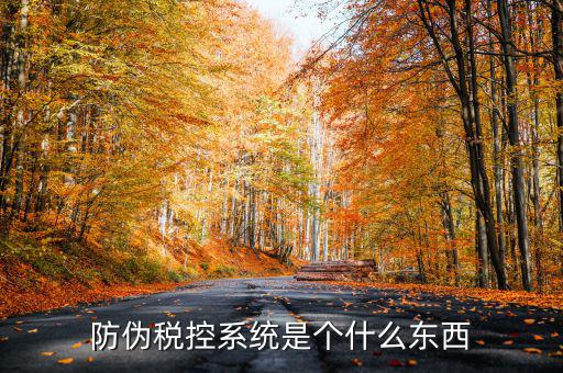 防偽稅控一體化什么時候，營改增后漢字防偽企業(yè)抄報稅時需要使用什么設(shè)備