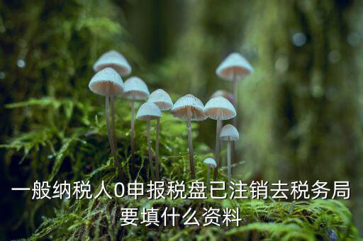 注銷金稅盤需要帶什么資料，請(qǐng)問注銷稅務(wù)登記需要提供哪些資料