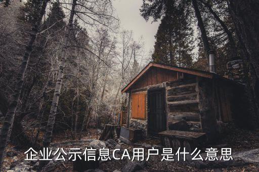 納稅人ca用戶是什么意思，什么是CA用戶啊