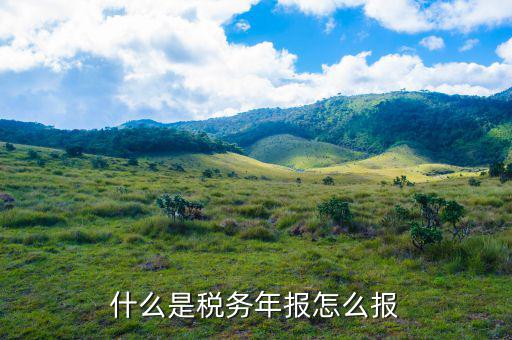 稅務(wù)局年報(bào)指報(bào)什么稅，我想知道稅務(wù)上年底所得稅年報(bào)指的是什么是不是季度那個(gè)表呀