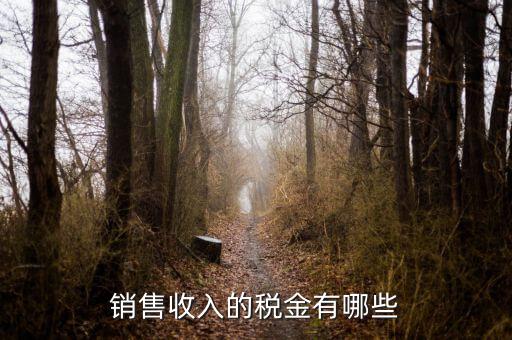 銷(xiāo)售交什么稅，銷(xiāo)售收入的稅金有哪些