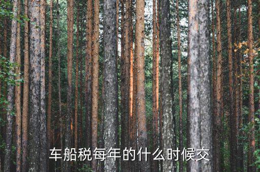 車船稅從什么時間交，車船稅什么時候交比如要交2017年的是2016年12月31日前交還是