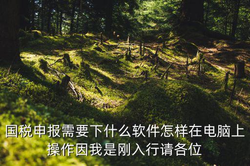 寶雞國稅用的什么軟件報稅，寶雞報稅怎么報
