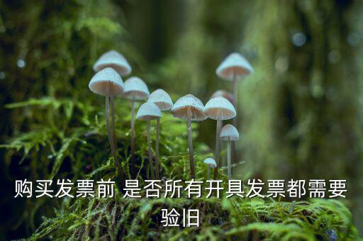 購(gòu)買發(fā)票前 是否所有開具發(fā)票都需要驗(yàn)舊