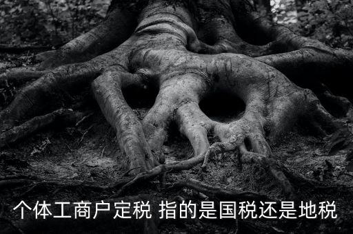 個體戶定稅是什么意思，疑難國稅個體戶定稅
