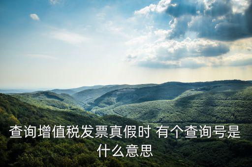 陜西省發(fā)票查詢號是什么意思，電子發(fā)票號碼是什么意思