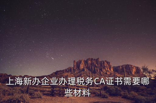 2014年7月份上海稅務(wù)局還需要審什么證，上海新辦企業(yè)辦理稅務(wù)CA證書需要哪些材料