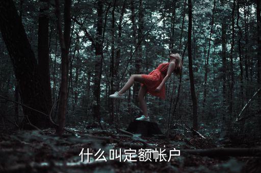 國稅的定期定額戶是什么意思，國稅買票需要定稅或建賬是什么意思