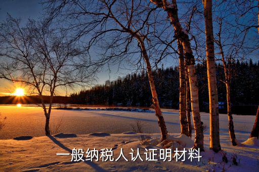 認(rèn)證一般納稅人的要什么資料，一般納稅人認(rèn)證明材料