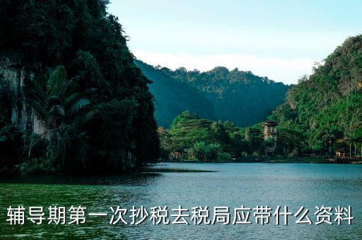 去稅務局抄稅需要帶什么，去稅務局抄稅帶哪些