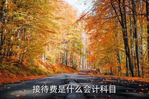 接待費計入什么科目，業(yè)務招待費屬于什么會計科目