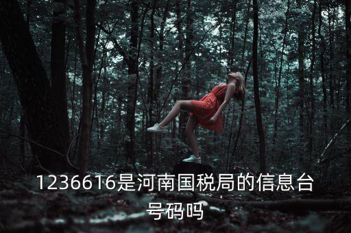 河南省國家稅務(wù)局賬號是什么，登錄國稅網(wǎng)上辦稅服務(wù)廳的用戶名和密碼是什么