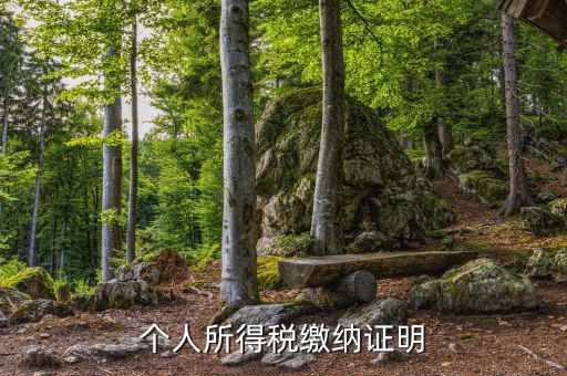 個人稅務證明是什么，什么是個人納稅證明